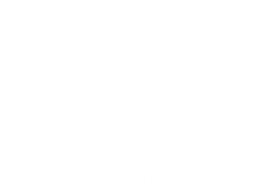 LB Domínios logo