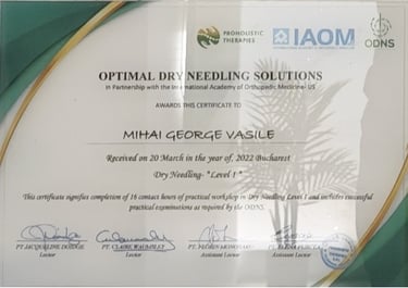 certificari-dry-needling-nivel-1-kinetoterapeut-george-mihai
