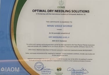certificari-dry-needling-nivel-2-kinetoterapeut-george-mihai