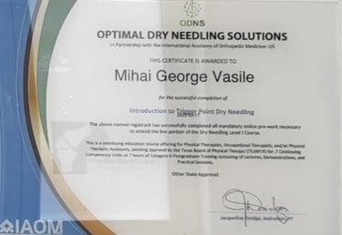 certificari-intro-trigger-point-dry-needling-kinetoterapeut-george-mihai