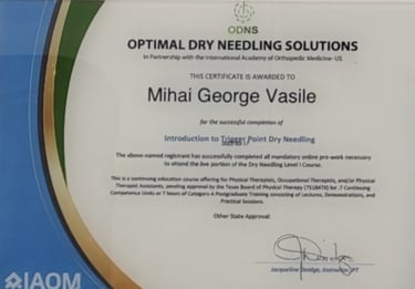 certificari-trigger-point-dry-needling-kinetoterapeut-george-mihai
