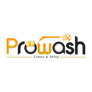 prowash logo