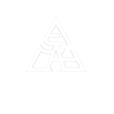 stane art paris logo