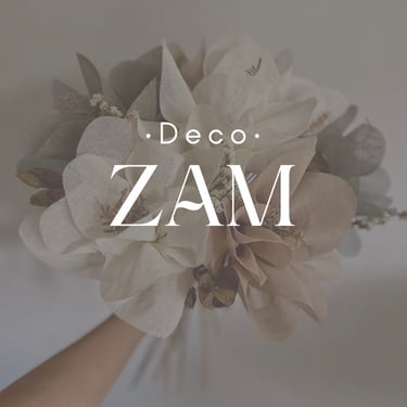 DecoZam logo