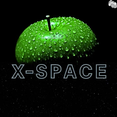 X-S P A C E logo