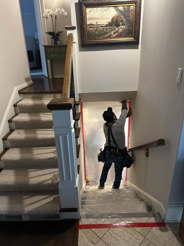 mold restoration and removal