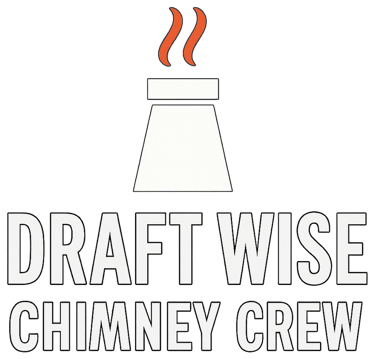 Draft Wise Chimney Crew | 81 MA-28, Avon, MA 02322 logo