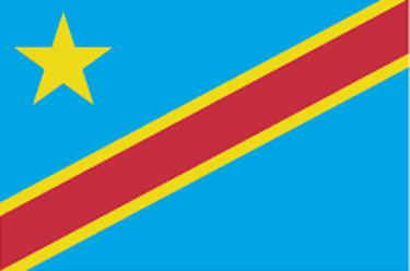Correction de la Constitution RDC logo