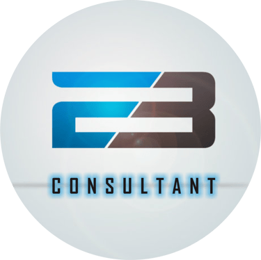 2B Consultant logo
