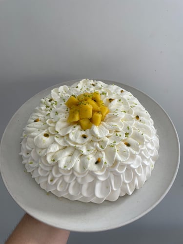 pavlova lille