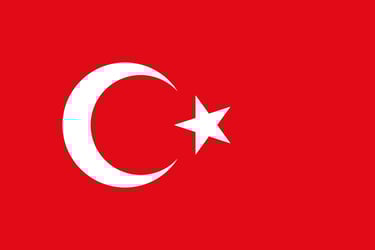 Official Turkish Grammar, Vocabulary and Culture Course logo