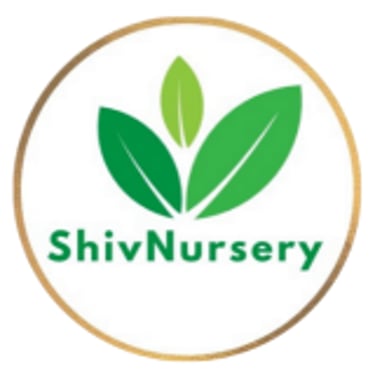 Shiv Nursery  logo