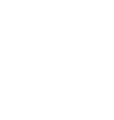 vassaga logo