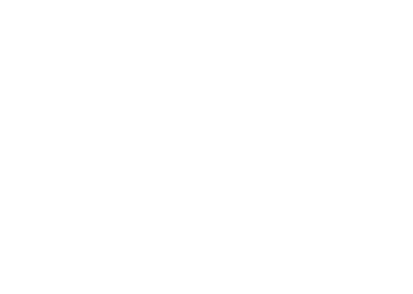 Yann Vilain logo