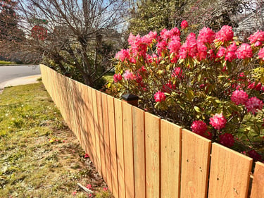 cedar Pickett fence with bright pink rhododendron flowers