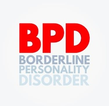 Borderline Information logo