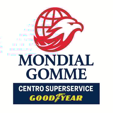 Mondial Gomme srl logo
