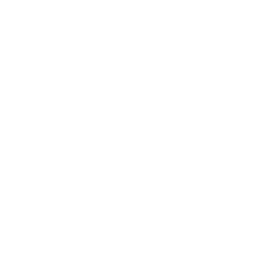Fly Tree Records logo
