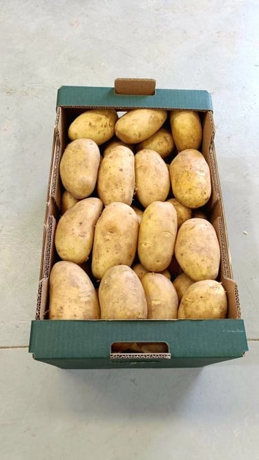 Potato Package