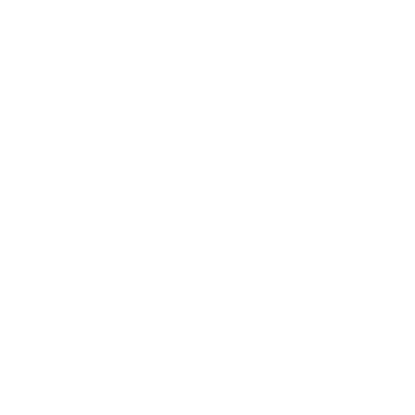 Stan Consulting logo