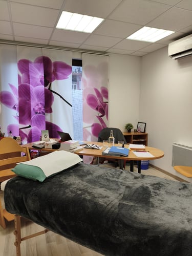 vue du cabinet de saverne 