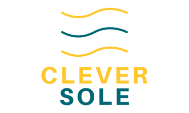 Clever Sole logo