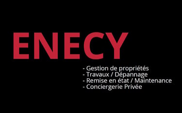Enecy logo