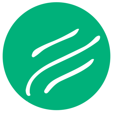 Wertone IT Services Private Limited logo
