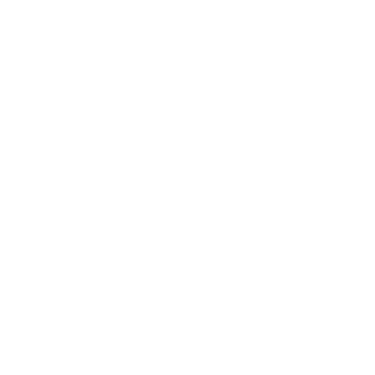 VIV logo
