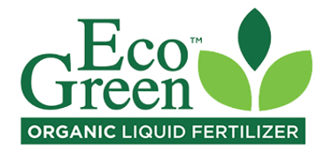 Eco Green logo