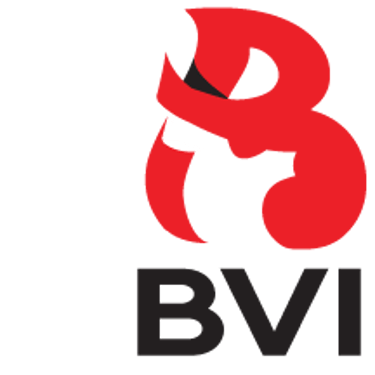 BVI APPAREL USA, BVI, BVI EMBROIDERY, BVI PRINTING, BVI CREATES logo