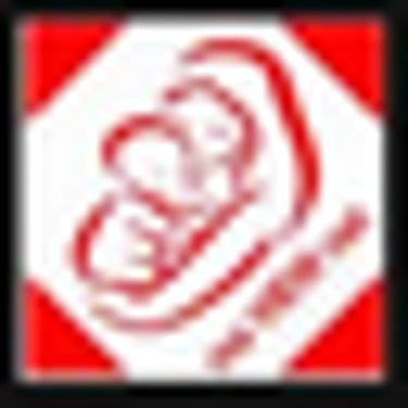MA VIEW NET LTD logo