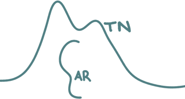 MTN. EAR logo