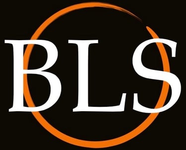 Braden Lynch Studio logo