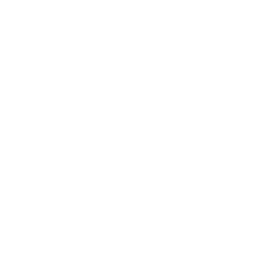 B&L logo