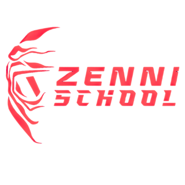 Team Zenni logo