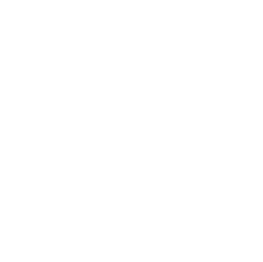 DIGPLAY logo