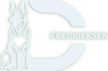 CONSULTOR SEO MEXICO DAN FREDRICKSEN