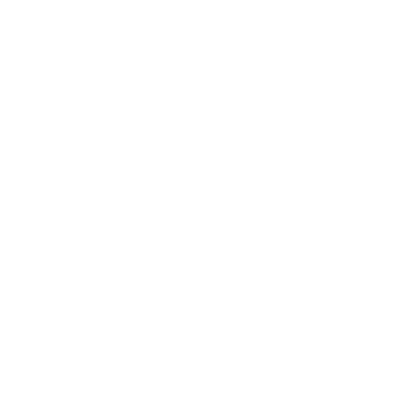 Ebonix logo