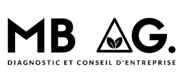 MB AG. Diagnostic et conseil d'entreprise logo