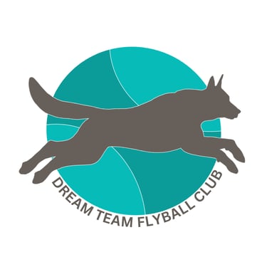 Dream Team Flyball logo