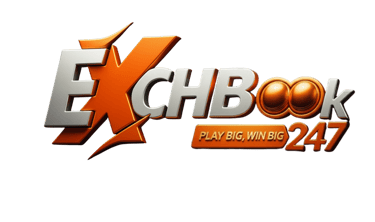 ExchBook247 logo