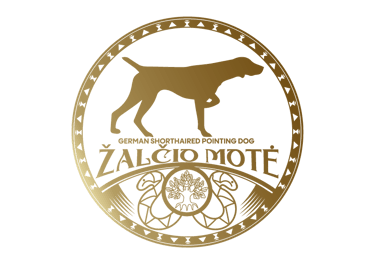 Veislynas ŽALČIO MOTĖ. Vokiečių kurtsharas - aristokratiškas medžioklinis šuo. logo