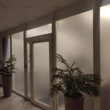 Veidrodinė ir matine plevele, apsaugine plevele