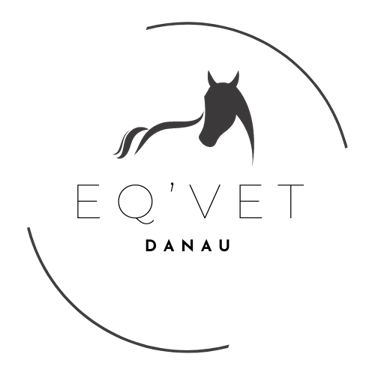 Vétérinaire équin, urgences et consultations, Brabant Wallon logo