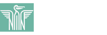 NovaNomader logo