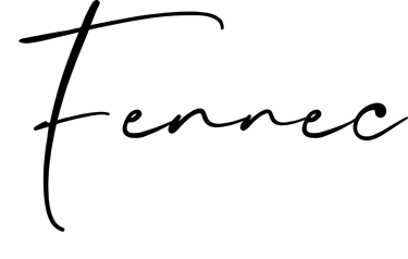 Fennec Stereo logo