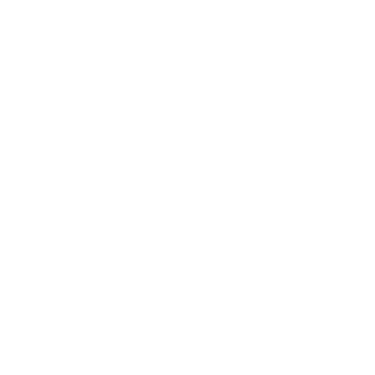 Ararí Geodésicas logo