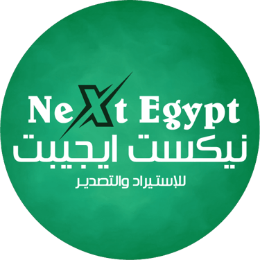 Next Egypt - نيكست ايجبت  logo
