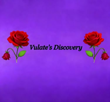 Vulates Discovery Supply Plus logo